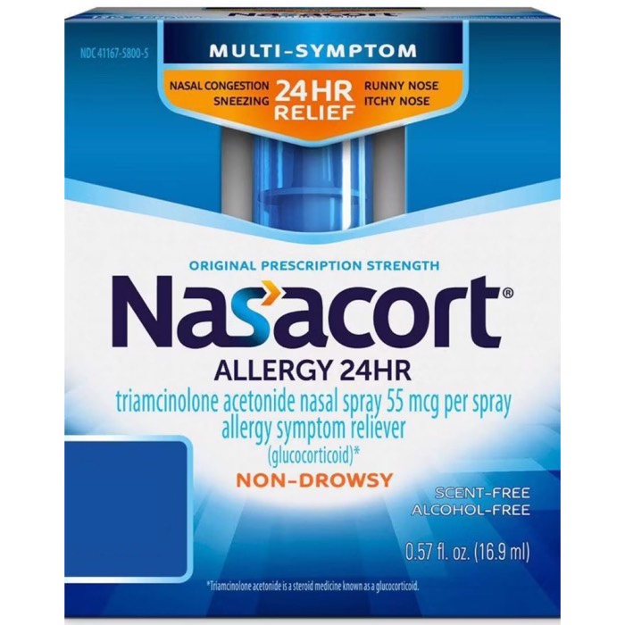 Nasacort 24HR Allergy Relief Spray