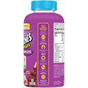 Flintstones Complete Multivitamin  image 2