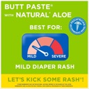 Boudreaux's Butt Paste Diaper Rash Ointment Natural Aloe image 2