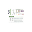 Azo Urinary Tract Infection Test Strips  image 3